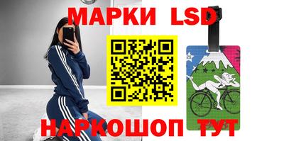 мдпв Бийск