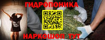 кокс Берёзовский