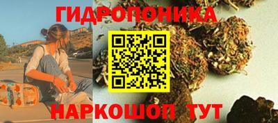 мдпв Бийск