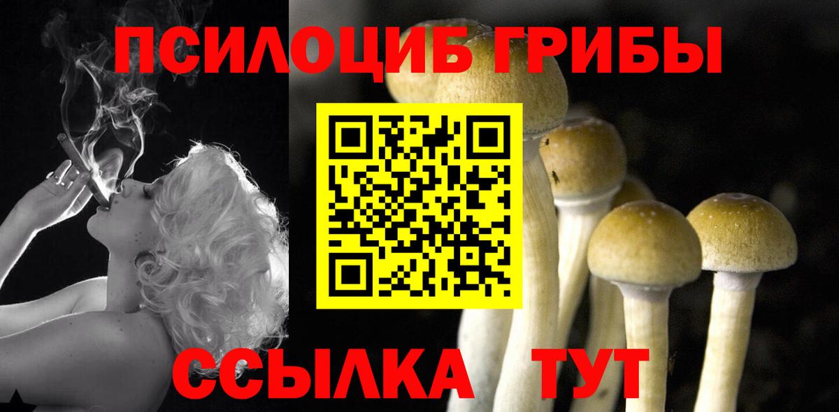 Псилоцибиновые грибы прущие грибы  Галлюциногенные грибы прущие грибы  Когалым  Вход с VPN 